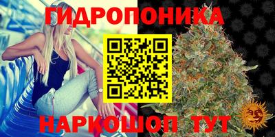 гидра Ликино-Дулёво
