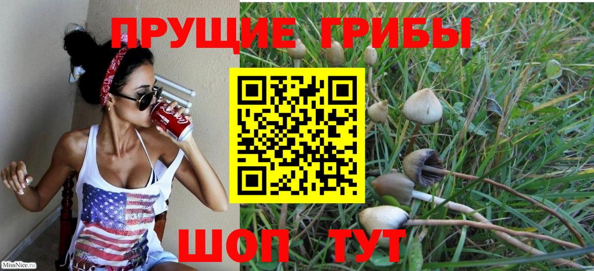 где можно купить   Вход с VPN  Чебаркуль  Галлюциногенные грибы MAGIC MUSHROOMS 