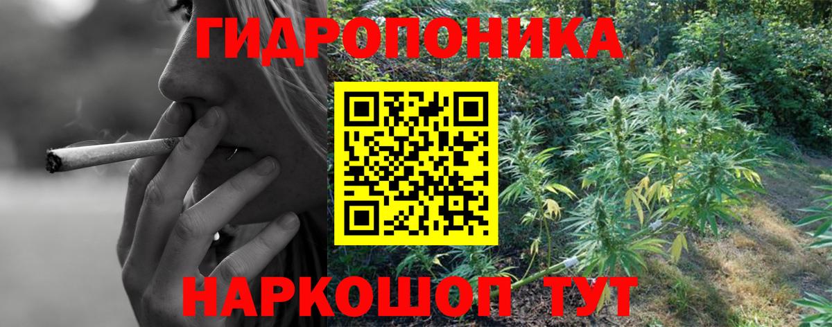 Бошки Шишки MAZAR  Вход с VPN  Чебаркуль  Каннабис сатива  Канабис семена 